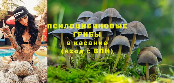 COCAINE Верхнеуральск