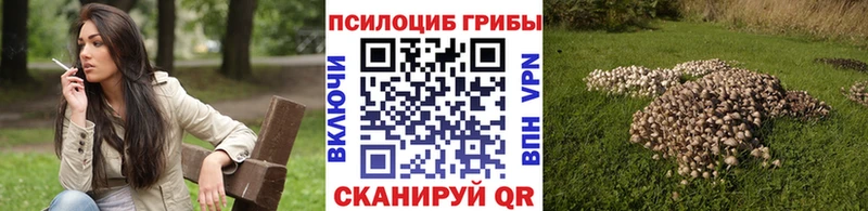 МЕГА ТОР  Наволоки  Галлюциногенные грибы Psilocybe 